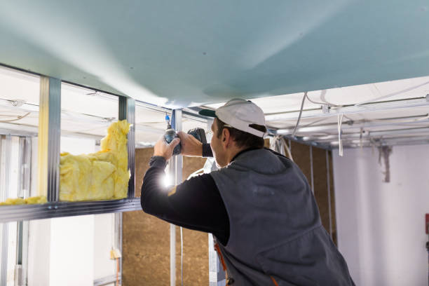 Best Wall Insulation Installation  in Red Oak, NC