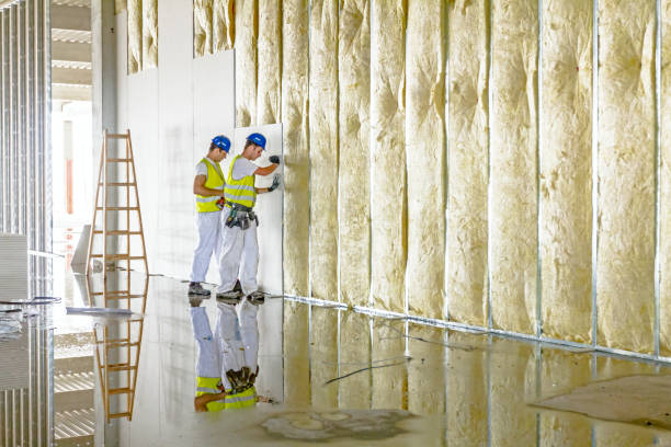 Best Insulation for New Construction  in Red Oak, NC